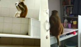 吃瓜爆料初中生宿舍,吃瓜爆料背后的青春故事